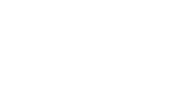 Precelsus Consulting